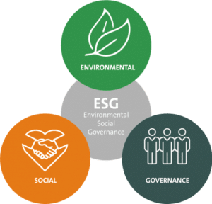 The Importance of ESG Strategy and how we made it real with our Digital ...